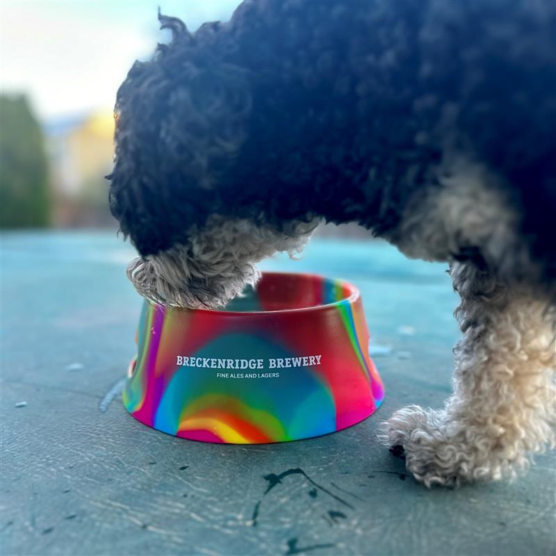 Load image into Gallery viewer, Breckenridge Brewery Dog Bowl
