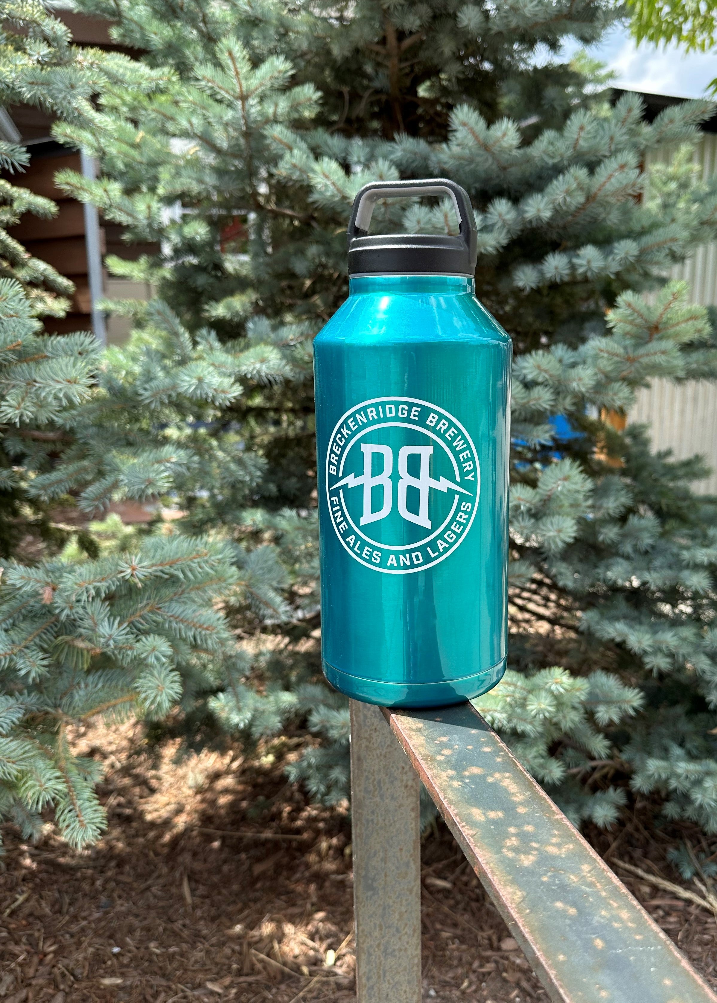 Load image into Gallery viewer, 64oz Shine Growler - Teal

