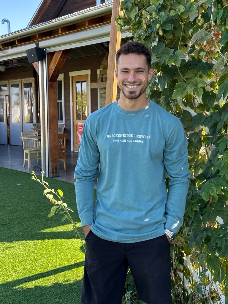 Load image into Gallery viewer, Wordmark Longsleeve
